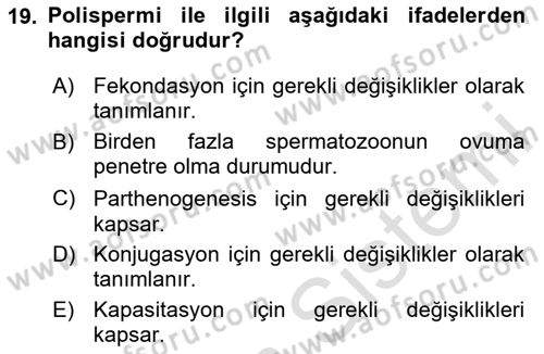 Temel Veteriner Histoloji ve Embriyoloji Dersi 2025 - 2026 Yılı (Final) Dönem Sonu Sınav Soruları 19. Soru