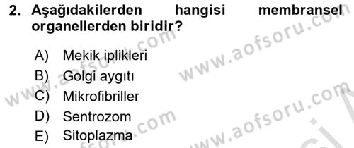 Temel Veteriner Histoloji ve Embriyoloji Dersi 2025 - 2026 Yılı (Final) Dönem Sonu Sınav Soruları 2. Soru
