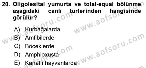 Temel Veteriner Histoloji ve Embriyoloji Dersi 2025 - 2026 Yılı (Final) Dönem Sonu Sınav Soruları 20. Soru