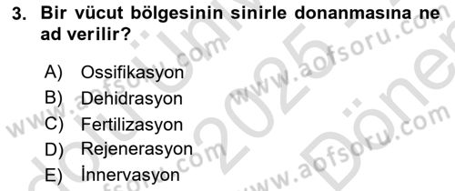 Temel Veteriner Histoloji ve Embriyoloji Dersi 2025 - 2026 Yılı (Final) Dönem Sonu Sınav Soruları 3. Soru