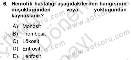 Temel Veteriner Histoloji ve Embriyoloji Dersi 2025 - 2026 Yılı (Final) Dönem Sonu Sınav Soruları 6. Soru