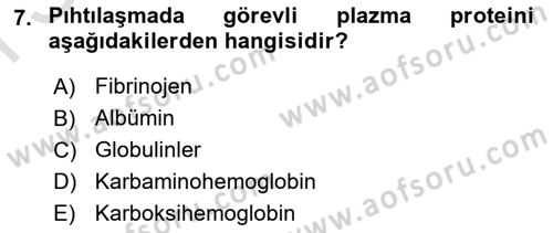 Temel Veteriner Histoloji ve Embriyoloji Dersi 2025 - 2026 Yılı (Final) Dönem Sonu Sınav Soruları 7. Soru
