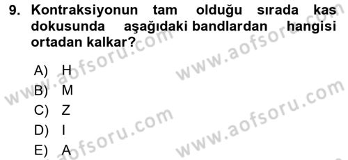 Temel Veteriner Histoloji ve Embriyoloji Dersi 2025 - 2026 Yılı (Final) Dönem Sonu Sınav Soruları 9. Soru