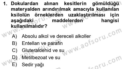 Temel Veteriner Histoloji ve Embriyoloji Dersi 2025 - 2026 Yılı Yaz Okulu Sınav Soruları 1. Soru