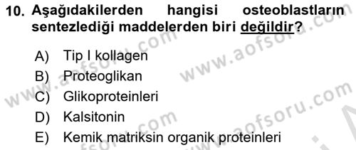 Temel Veteriner Histoloji ve Embriyoloji Dersi 2025 - 2026 Yılı Yaz Okulu Sınav Soruları 10. Soru