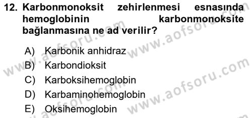 Temel Veteriner Histoloji ve Embriyoloji Dersi 2025 - 2026 Yılı Yaz Okulu Sınav Soruları 12. Soru