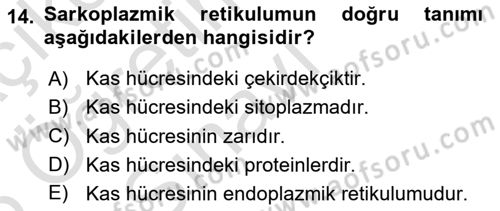 Temel Veteriner Histoloji ve Embriyoloji Dersi 2025 - 2026 Yılı Yaz Okulu Sınav Soruları 14. Soru
