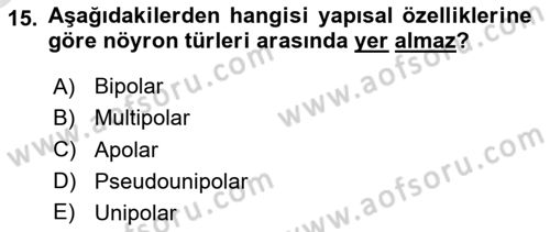Temel Veteriner Histoloji ve Embriyoloji Dersi 2025 - 2026 Yılı Yaz Okulu Sınav Soruları 15. Soru