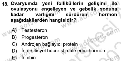 Temel Veteriner Histoloji ve Embriyoloji Dersi 2025 - 2026 Yılı Yaz Okulu Sınav Soruları 18. Soru