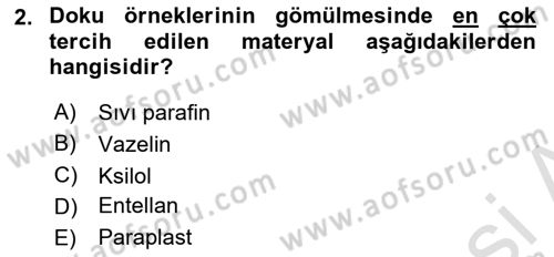 Temel Veteriner Histoloji ve Embriyoloji Dersi 2025 - 2026 Yılı Yaz Okulu Sınav Soruları 2. Soru