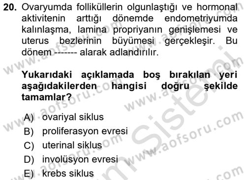 Temel Veteriner Histoloji ve Embriyoloji Dersi 2025 - 2026 Yılı Yaz Okulu Sınav Soruları 20. Soru
