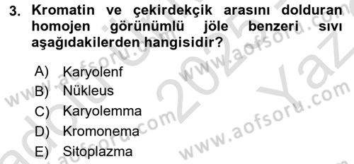 Temel Veteriner Histoloji ve Embriyoloji Dersi 2025 - 2026 Yılı Yaz Okulu Sınav Soruları 3. Soru