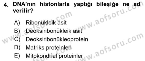 Temel Veteriner Histoloji ve Embriyoloji Dersi 2025 - 2026 Yılı Yaz Okulu Sınav Soruları 4. Soru