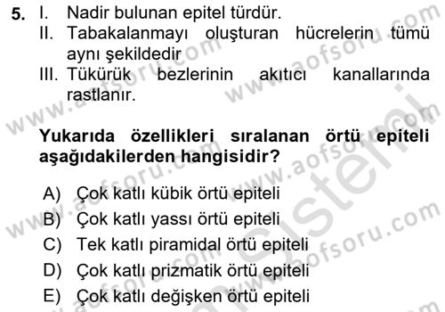 Temel Veteriner Histoloji ve Embriyoloji Dersi 2025 - 2026 Yılı Yaz Okulu Sınav Soruları 5. Soru