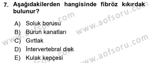 Temel Veteriner Histoloji ve Embriyoloji Dersi 2025 - 2026 Yılı Yaz Okulu Sınav Soruları 7. Soru