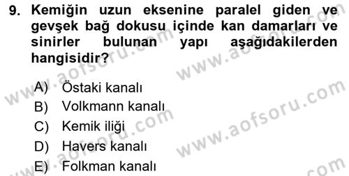 Temel Veteriner Histoloji ve Embriyoloji Dersi 2025 - 2026 Yılı Yaz Okulu Sınav Soruları 9. Soru