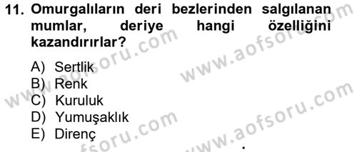 Temel Veteriner Biyokimya Dersi 2012 - 2013 Yılı (Vize) Ara Sınavı 11. Soru