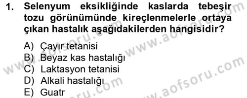 Temel Veteriner Biyokimya Dersi 2012 - 2013 Yılı (Final) Dönem Sonu Sınav Soruları 1. Soru