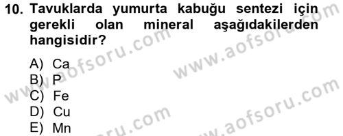 Temel Veteriner Biyokimya Dersi 2012 - 2013 Yılı (Final) Dönem Sonu Sınav Soruları 10. Soru