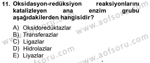 Temel Veteriner Biyokimya Dersi 2012 - 2013 Yılı (Final) Dönem Sonu Sınav Soruları 11. Soru