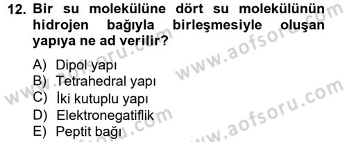 Temel Veteriner Biyokimya Dersi 2012 - 2013 Yılı (Final) Dönem Sonu Sınav Soruları 12. Soru