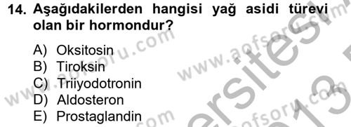 Temel Veteriner Biyokimya Dersi 2012 - 2013 Yılı (Final) Dönem Sonu Sınav Soruları 14. Soru