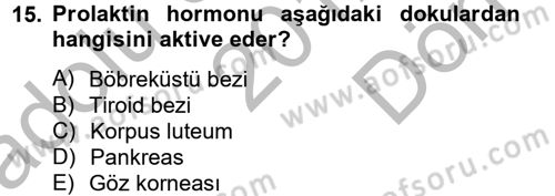 Temel Veteriner Biyokimya Dersi 2012 - 2013 Yılı (Final) Dönem Sonu Sınav Soruları 15. Soru