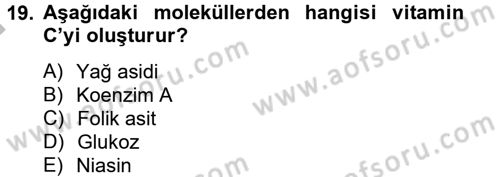 Temel Veteriner Biyokimya Dersi 2012 - 2013 Yılı (Final) Dönem Sonu Sınav Soruları 19. Soru