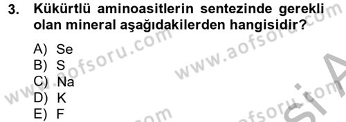 Temel Veteriner Biyokimya Dersi 2012 - 2013 Yılı (Final) Dönem Sonu Sınav Soruları 3. Soru