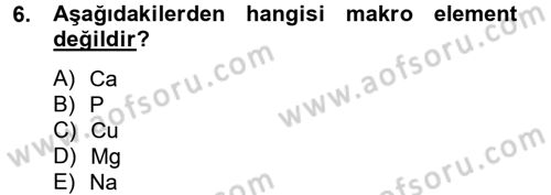 Temel Veteriner Biyokimya Dersi 2012 - 2013 Yılı (Final) Dönem Sonu Sınav Soruları 6. Soru