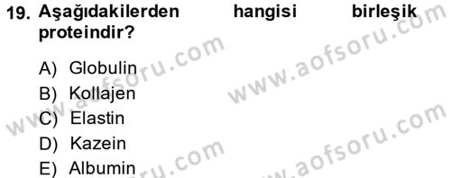 Temel Veteriner Biyokimya Dersi 2013 - 2014 Yılı (Vize) Ara Sınav Soruları 19. Soru