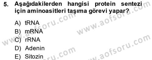 Temel Veteriner Biyokimya Dersi 2013 - 2014 Yılı (Vize) Ara Sınav Soruları 5. Soru