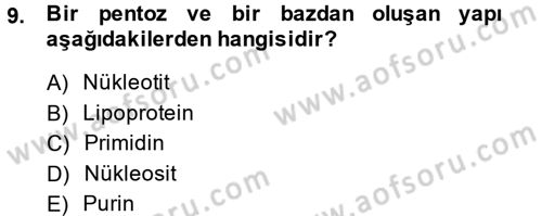 Temel Veteriner Biyokimya Dersi 2013 - 2014 Yılı (Vize) Ara Sınav Soruları 9. Soru