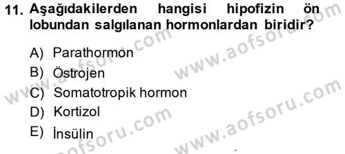 Temel Veteriner Biyokimya Dersi 2013 - 2014 Yılı (Final) Dönem Sonu Sınav Soruları 11. Soru