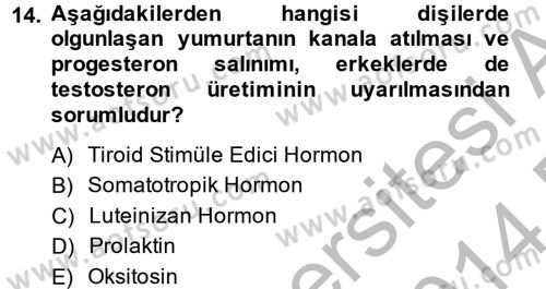 Temel Veteriner Biyokimya Dersi 2013 - 2014 Yılı (Final) Dönem Sonu Sınav Soruları 14. Soru
