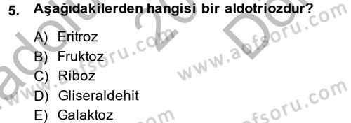Temel Veteriner Biyokimya Dersi 2013 - 2014 Yılı (Final) Dönem Sonu Sınav Soruları 5. Soru