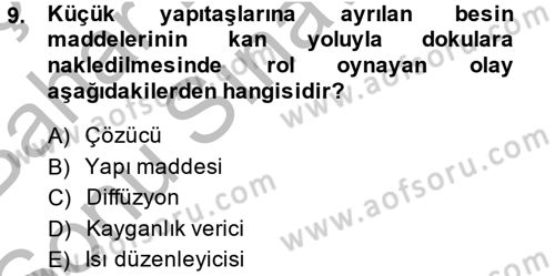 Temel Veteriner Biyokimya Dersi 2013 - 2014 Yılı (Final) Dönem Sonu Sınav Soruları 9. Soru