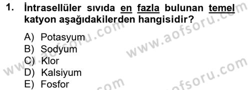 Temel Veteriner Biyokimya Dersi 2013 - 2014 Yılı Tek Ders Sınav Soruları 1. Soru