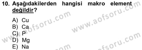 Temel Veteriner Biyokimya Dersi 2013 - 2014 Yılı Tek Ders Sınav Soruları 10. Soru