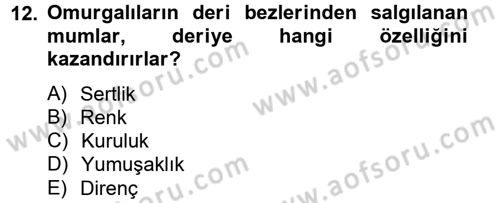 Temel Veteriner Biyokimya Dersi 2013 - 2014 Yılı Tek Ders Sınav Soruları 12. Soru