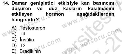 Temel Veteriner Biyokimya Dersi 2013 - 2014 Yılı Tek Ders Sınav Soruları 14. Soru