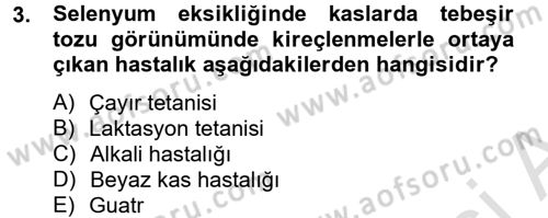 Temel Veteriner Biyokimya Dersi 2013 - 2014 Yılı Tek Ders Sınav Soruları 3. Soru