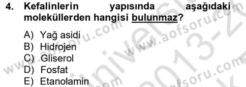 Temel Veteriner Biyokimya Dersi 2013 - 2014 Yılı Tek Ders Sınav Soruları 4. Soru