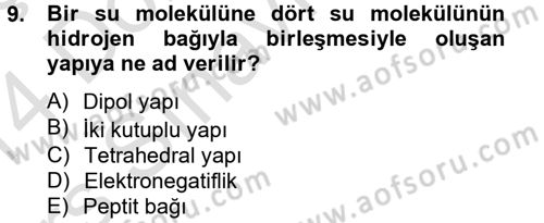 Temel Veteriner Biyokimya Dersi 2013 - 2014 Yılı Tek Ders Sınav Soruları 9. Soru