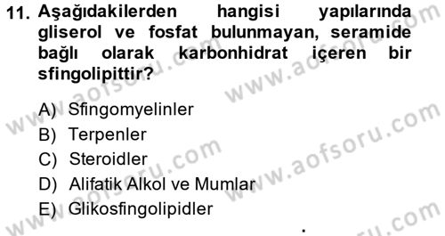 Temel Veteriner Biyokimya Dersi 2014 - 2015 Yılı (Vize) Ara Sınav Soruları 11. Soru