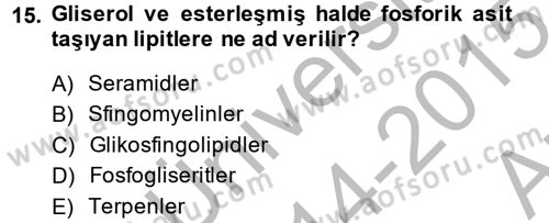 Temel Veteriner Biyokimya Dersi 2014 - 2015 Yılı (Vize) Ara Sınav Soruları 15. Soru