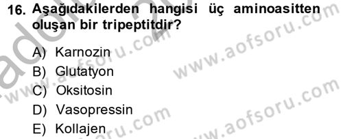 Temel Veteriner Biyokimya Dersi 2014 - 2015 Yılı (Vize) Ara Sınav Soruları 16. Soru