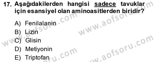 Temel Veteriner Biyokimya Dersi 2014 - 2015 Yılı (Vize) Ara Sınav Soruları 17. Soru