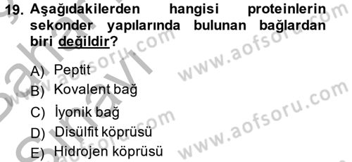 Temel Veteriner Biyokimya Dersi 2014 - 2015 Yılı (Vize) Ara Sınav Soruları 19. Soru