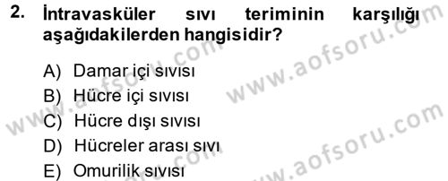 Temel Veteriner Biyokimya Dersi 2014 - 2015 Yılı (Vize) Ara Sınav Soruları 2. Soru